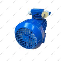 Motor 220V 0.75kW für Drehpumpe 1000L/h