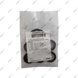Dichtungsatz CAT 5CP2110/2140/2150W
