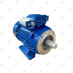 Motor 220V 0.75kW für Drehpumpe 1000L/h