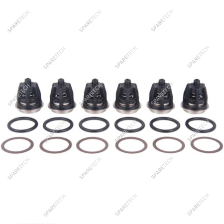 KIT N°201, 6 Ventil für HT4715 Pumpe
