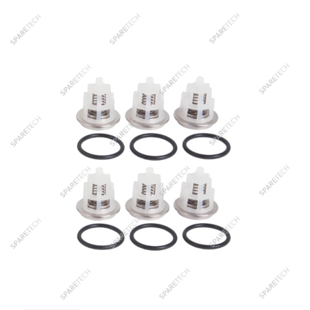 KIT N°169, 6 Ventil für W2141 Pumpe